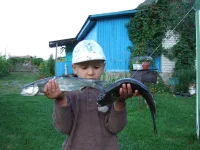 DSCF5764.webp