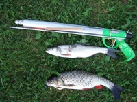 DSCF5765.webp