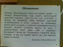 283176_212144398835170_144387645610846_499968_6866510_n.webp