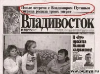 6666.webp