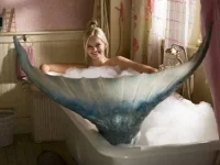 pics_006.webp