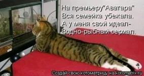 kotomatrix_14.webp
