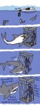акулки.jpg