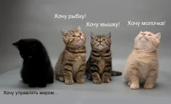 322214916861850148.webp