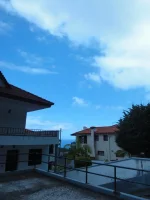 244.webp
