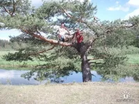 торопа.webp