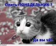 Понедельник.webp