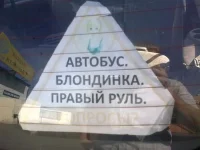 автокурьезы.webp