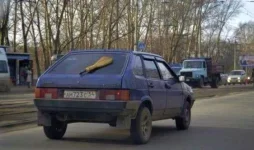 веник.webp