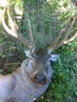 IMG_0884.JPG