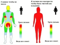 разница.webp