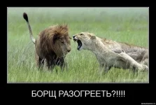 x_39ee6e58.webp