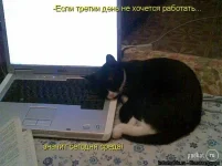 567ed3c48c7c.webp