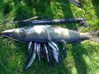 29082011494.webp