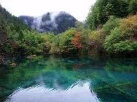 025.webp