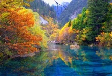 030.webp