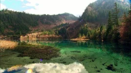 034.webp