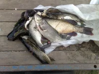 030920111606.webp