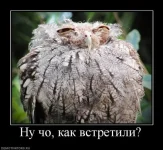 x_f448556e.webp