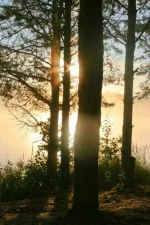 13 съезд 043.webp