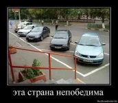 курьезы.webp
