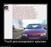 389189_umej-reklamirovat-krasivo.webp