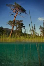 29.webp