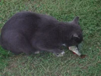 IMGP3183.webp
