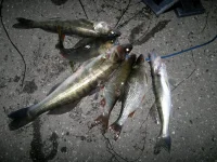07092011470.webp