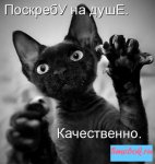 1289381315_106472ea2b276.jpeg