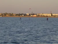 SNC10924.webp
