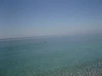 SNC10948.webp