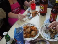 SNC11040.webp