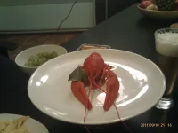 IMAG0537.webp