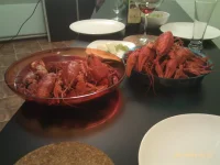 IMAG0533.webp