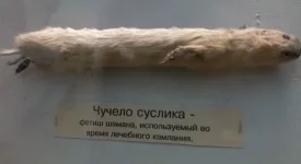 суслеГ.webp