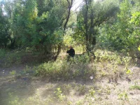 100_3340.webp