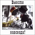 50173729_love24.webp