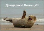 pyatnitsa-(11).jpg