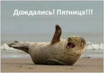 pyatnitsa-(11).webp