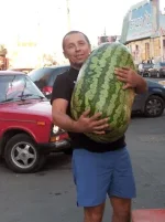 006.webp