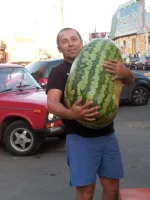 1234 149.webp