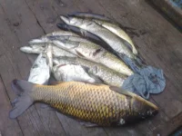 180920111647.webp