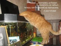 0_25b9f_5265ff1d_L.webp