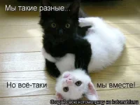 388714.webp