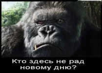 38324939_1191040376_7.webp