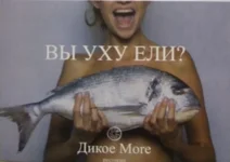 1237_5ijjUNDgAZ_o.webp