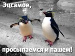 2_2009-04-21_23.33.19.jpg