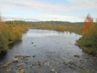 DSCN0959.webp
