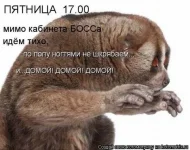 555555555555.webp